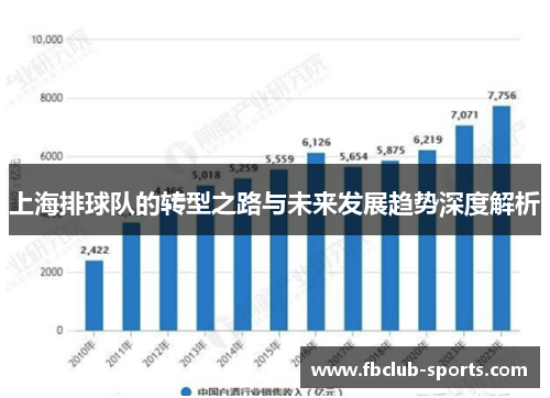 上海排球队的转型之路与未来发展趋势深度解析