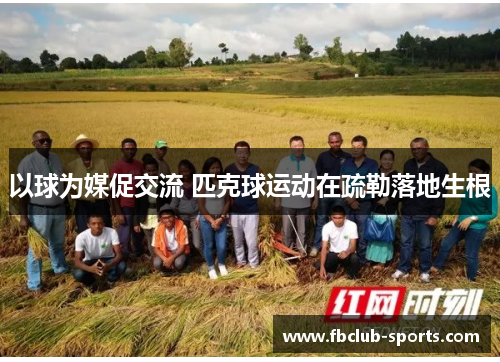以球为媒促交流 匹克球运动在疏勒落地生根